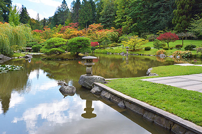 Seatle Japanese Gardens