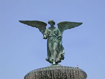 Central Park Photo