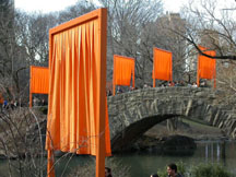 Central Park Photo