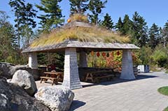 Maine Garden Photo