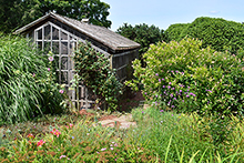 Cricket Hill Gardens