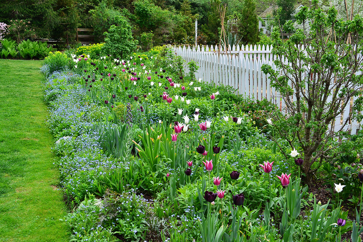 Brandywine Cottage