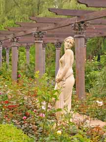 Garden Photo