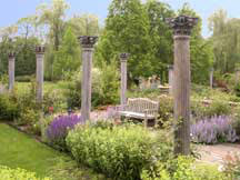 Garden Photo