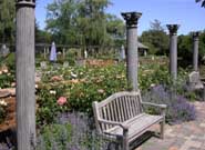 Garden Photo