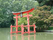 Brooklyn Botanical Garden Photo
