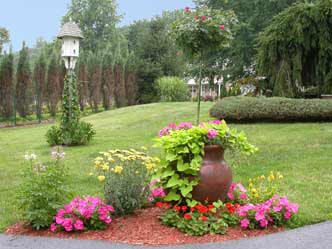 Garden Photo
