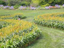 Garden Photo