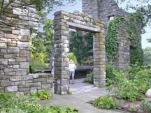 Garden Photo
