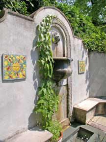 Garden Photo