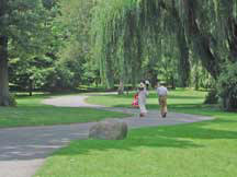 Brooklyn Botanical Garden Photo