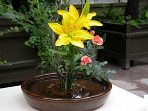 Flower Photo