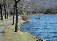 Park Photo