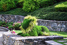Day Gardens