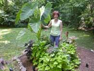 Rena's Garden