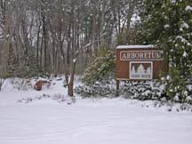 Thielke Arboretum Photo