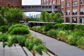 High Line Photo