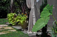 Garden Photo