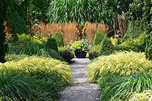 Hyland-Wente Garden