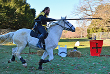 Knights Jousting