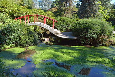 Kubota Garden