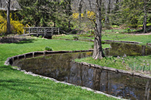 Stream Photo