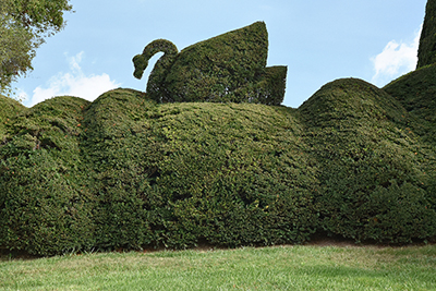 Ladew Topiary Gardens