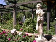 Matterhorn Garden