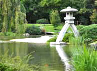 Plant Photo