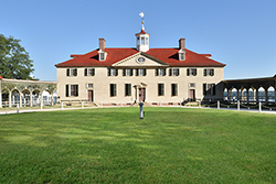 Mount Vernon