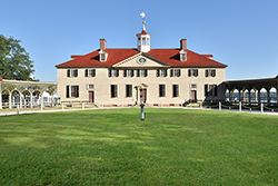 Mount Vernon