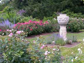 Morris Arboretum