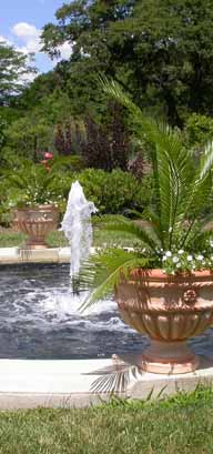 Water Fountain Photo