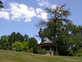 Garden Photo