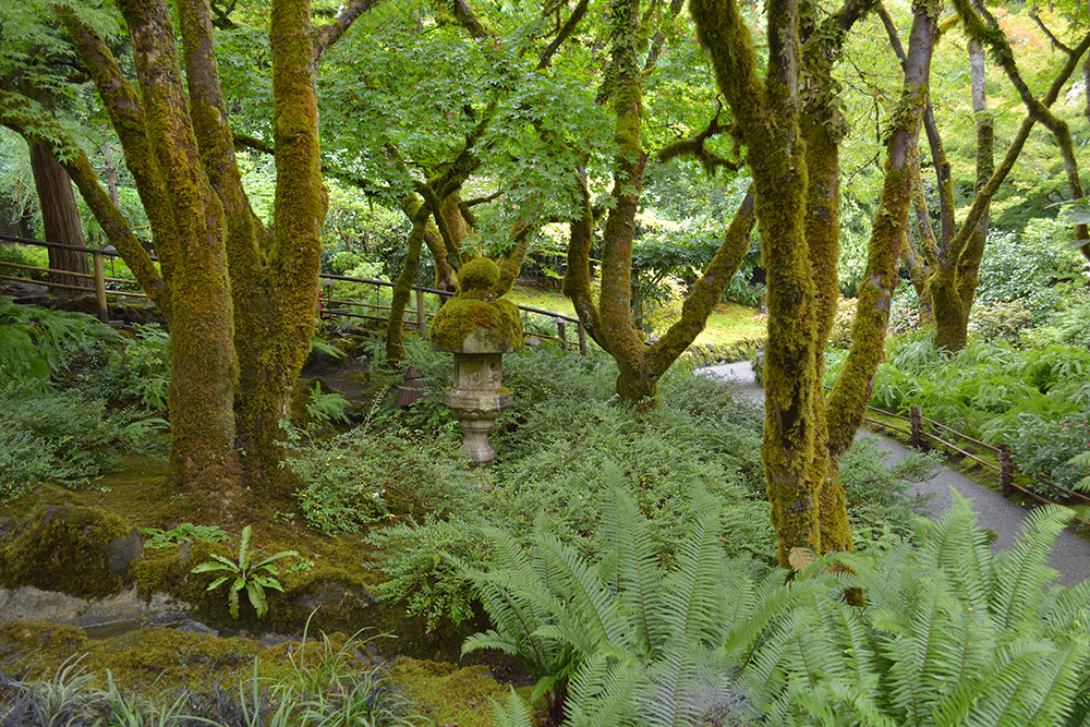 Moss Gardens