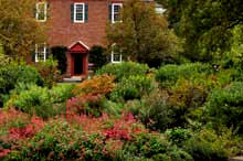 Garden Photo