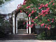 Greenhouse Photo