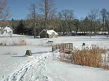 Ringwood State Park Photo