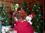 Holiday Decorations