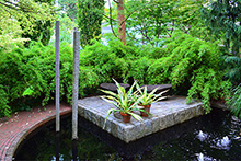 Silas Mountsier Garden