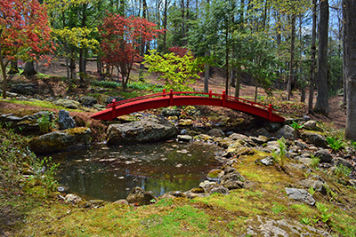Steinhardt Garden