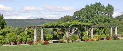Wave Hill Photo