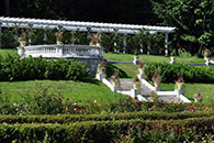 Rose Garden Photo