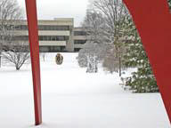 Donald M. Kendall Sclupture Garden Photo